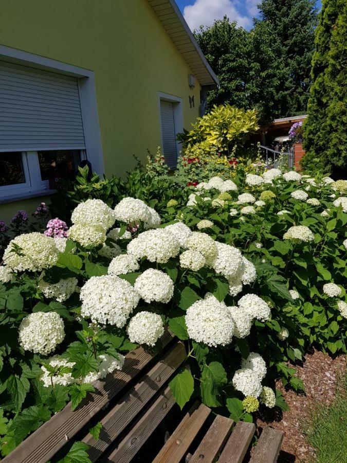 Ferienwohnung Lotte Nuthe-Urstromtal Dış mekan fotoğraf